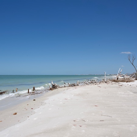 Estero Beach & Tennis 901-C