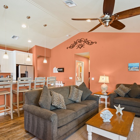 Sand Dollar on Miramar