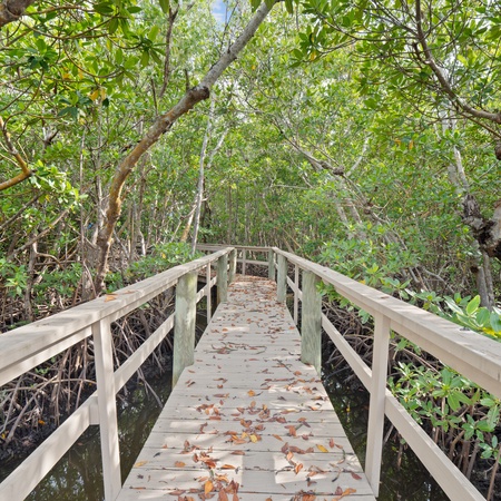 Flamingo Bayou A Left Side