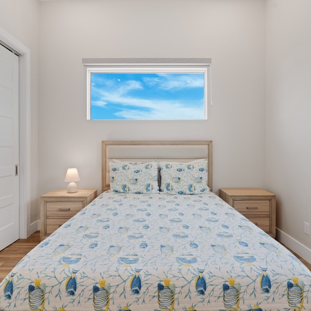 Blue Dolphin View