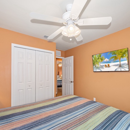 Sand Dollar on Miramar