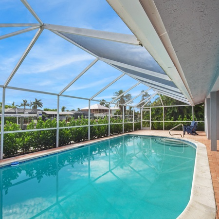 Palmview Paradise
