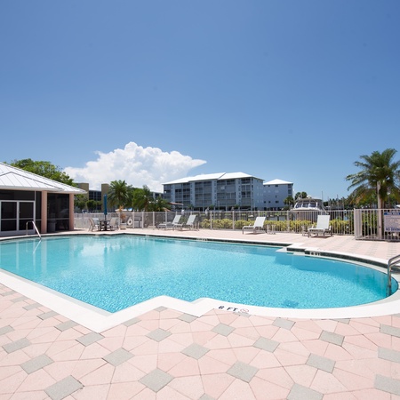 Palm Harbor #602