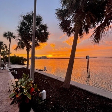 Miramar Palms