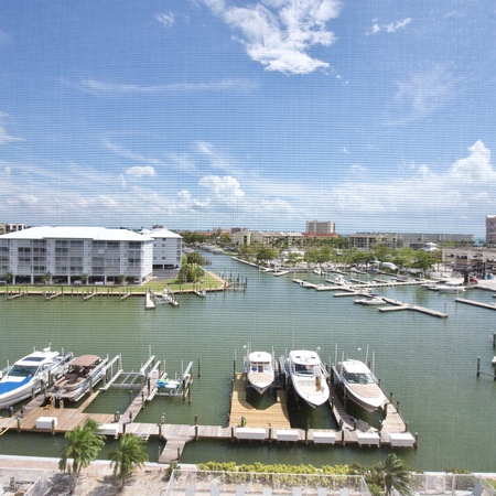 Palm Harbor #602
