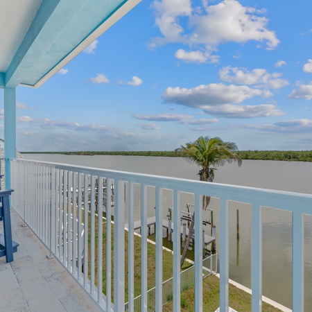 Blue Dolphin View