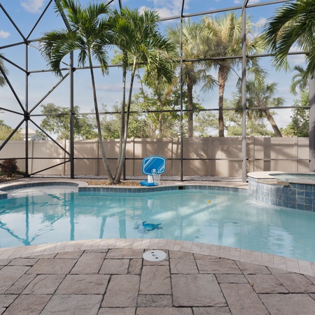 Sabal Palms