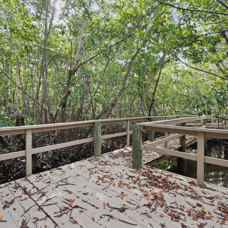 Flamingo Bayou