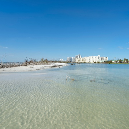Sand Caper #406