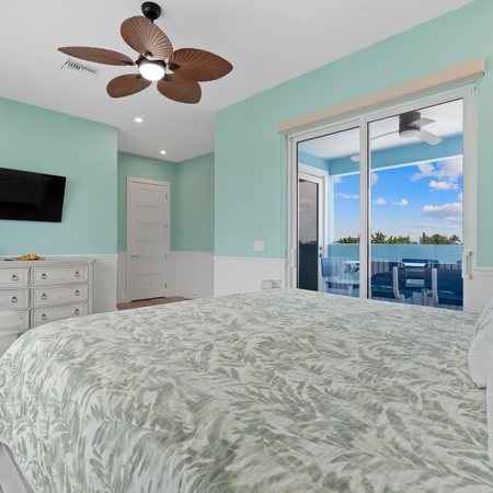 Blue Dolphin View