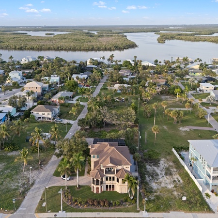 Sabal Palms