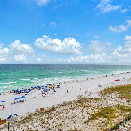 Pelican Beach 603 - Starfish by the Sea