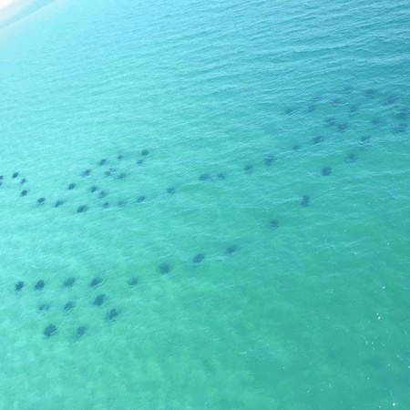 Emerald Towers 1302 - Salty Smile