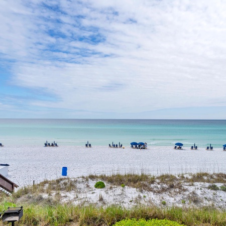 Coral Reef 25 - Coral Reef Retreat