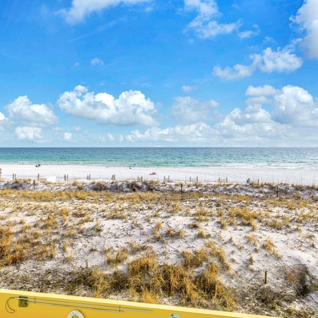 Pelican Isle 215 - The Emerald Spritz