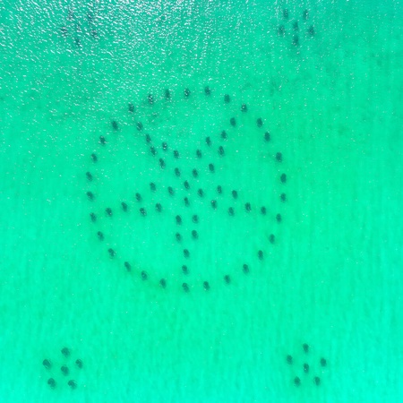 Beach House 201A - Salt Water Retreat