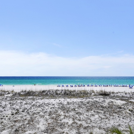 Island Princess 301 - No Shoes Retreat