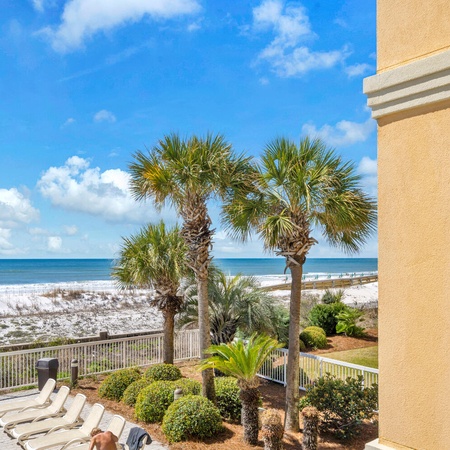 Azure 214 - Paradise Palms