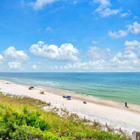 Monterey B101 - Monterey Magic