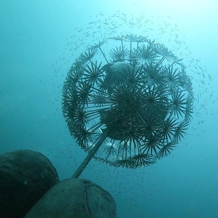 Monterey B101 - Monterey Magic