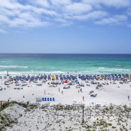 Pelican Beach 604 - Shore Thing