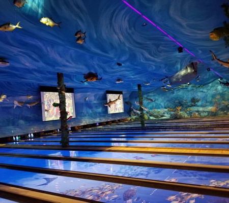 Saltwater Social Club