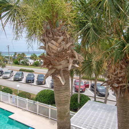 Grand Caribbean 310 - The Surf Shack