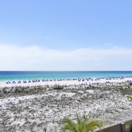 Island Princess 301 - No Shoes Retreat