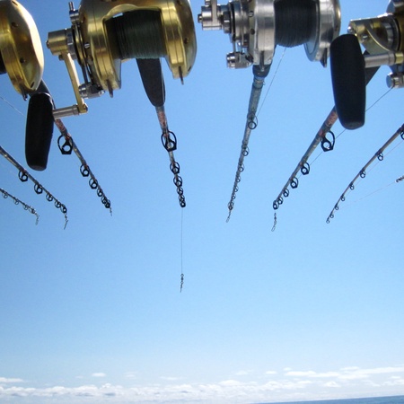 Pelican Isle 608 - Pufferfish Penthouse