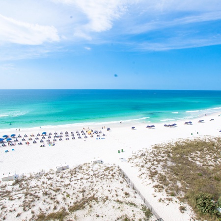 Pelican Beach 102 - Beach Daze