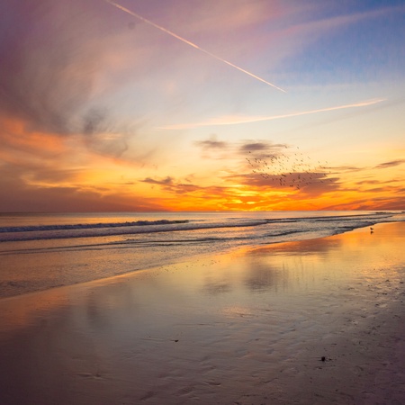 Ariel Dunes 2405 - The Penthouse