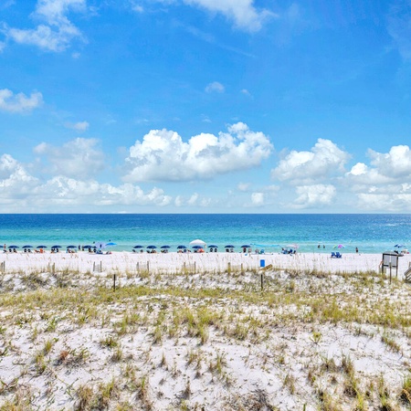 Pelican Isle 215 - The Emerald Spritz