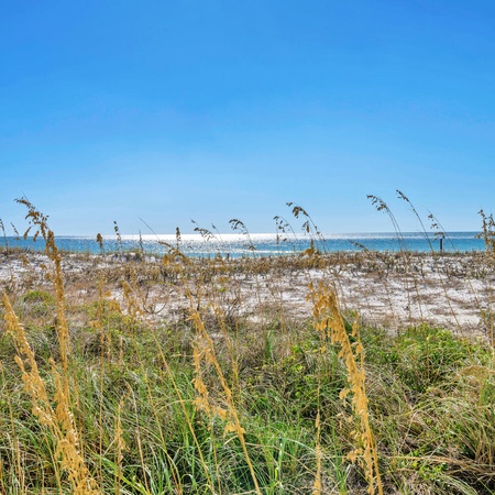 Gulf Dunes 111 - Sea Drift