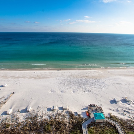 Sundestin 1704 - Sunny D