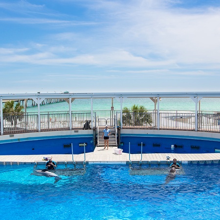 Beach Resort 401 - Blue View