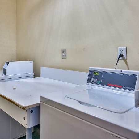 Sundestin 1704 - Sunny D