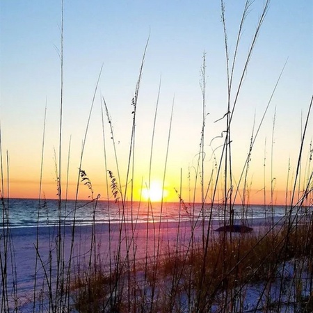 Crescent 116 Destin
