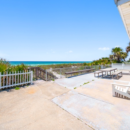 Oleander Elegance