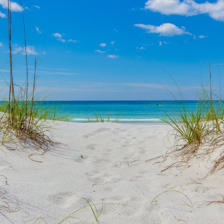 Coastal Breeze