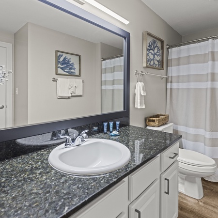 Calypso 408E