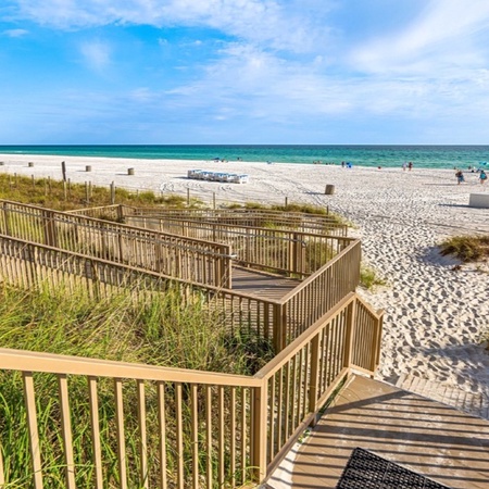 Boardwalk 501