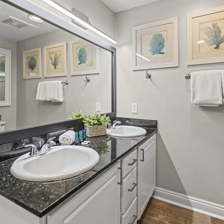 Calypso 408E