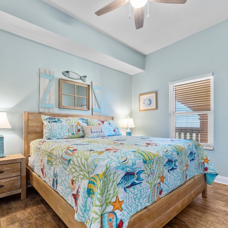 Calypso 2308W