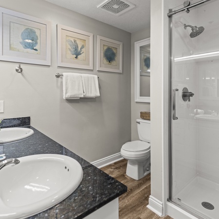 Calypso 408E