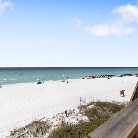 Summerhaven 4