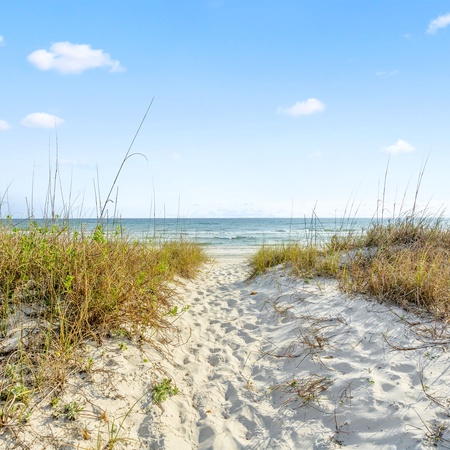 Beach Roost