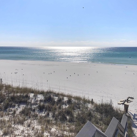 Ocean Reef 909