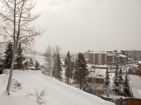 A snow-covered neighborhood nestled among evergreens and winter-bare trees, offering a peaceful mountain resort setting with multi-story buildings visible in the distance.