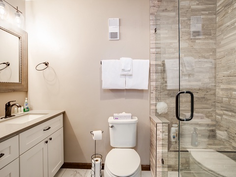 Refresh in your beautifully updated bathroom with a spacious walk-in shower, elegant wood-look tile, and a well-lit vanity for your convenience.