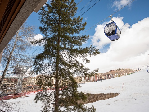 A ski resort's gondola lifts guests up the snowy mountain, offering convenient access to the slopes and scenic alpine terrain surrounding the property.